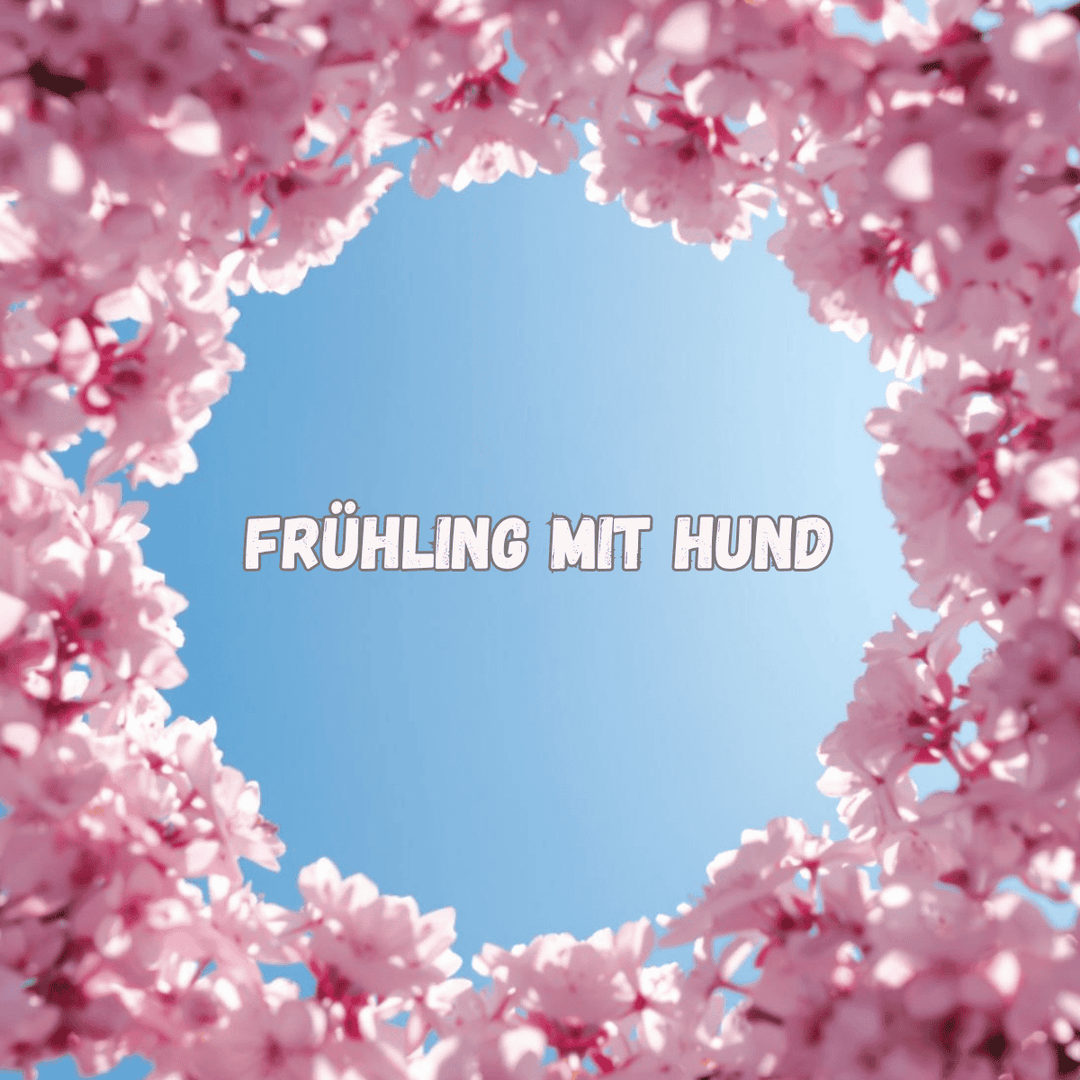 Schleppleinentraining in der Brut- und Setzzeit: Sicher durch den Frühling