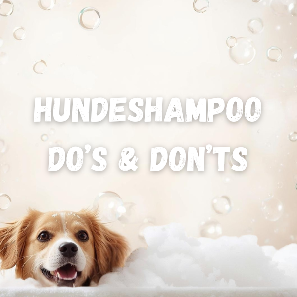 🐶 Hundeshampoo – Worauf du beim Kauf achten solltest