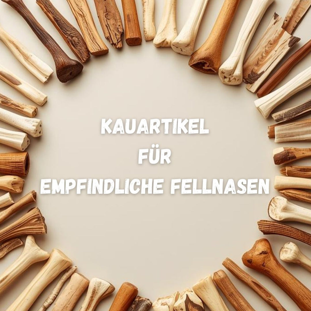 🦴 Was sind gute Kauartikel für Hunde mit Allergien?