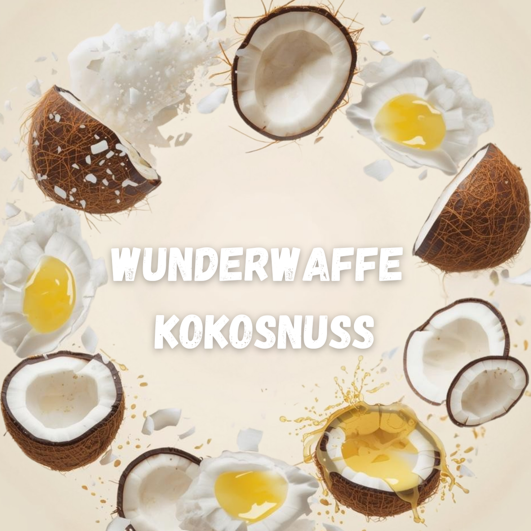 🥥 Wunderwaffe Kokosnuss – Gesunde Power für deinen Hund