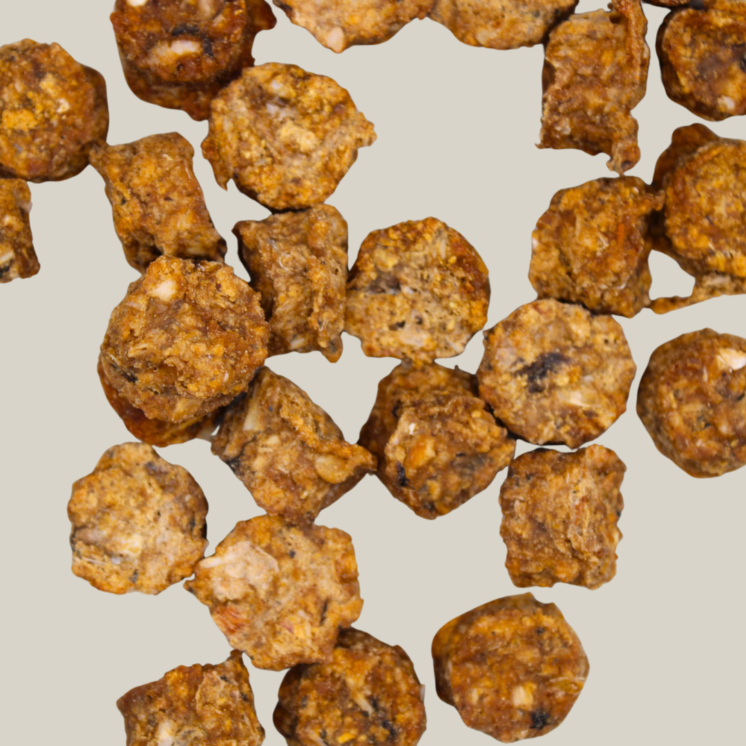 Talerförmige Hundekekse in Lachsfarbe