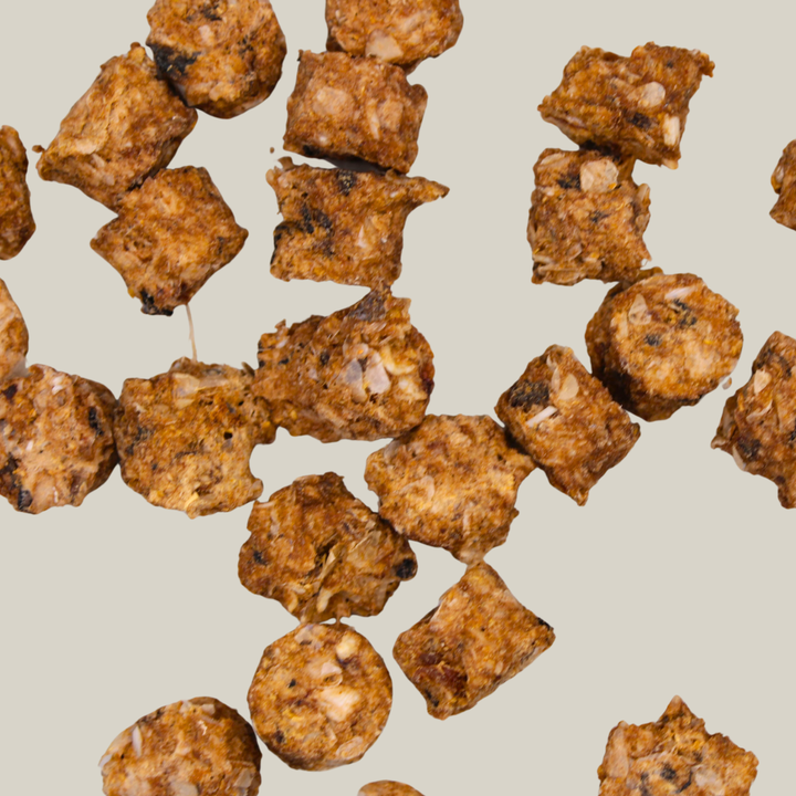 Talerförmige Hundekekse mit Forelle