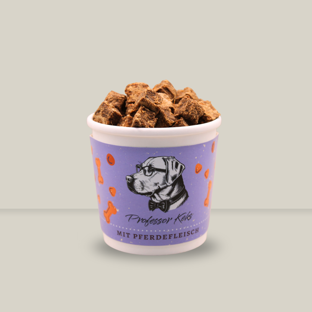 lila Pappbecher von Professor Keks gefüllt mit Hundekeksen aus Pferdefleisch