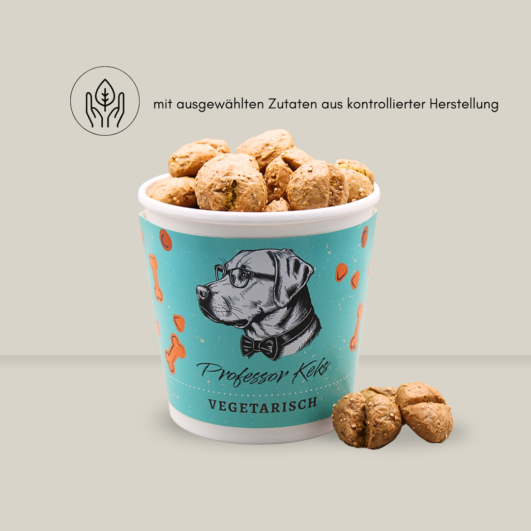 Produktfoto von vegertarischen Hundekeksen in türkisem Becher