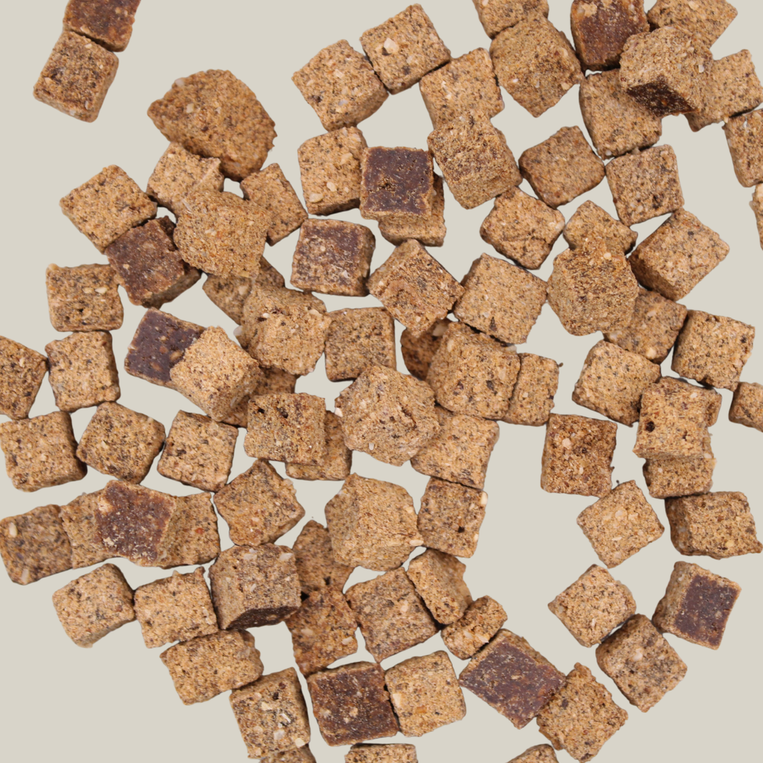 Hundekekse als kleine Würfel