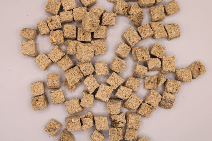 Mini Würfel Dorsch