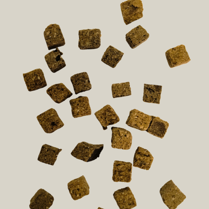 würfelförmige ca. 1cm große Hundekekse aus Pferdefleisch