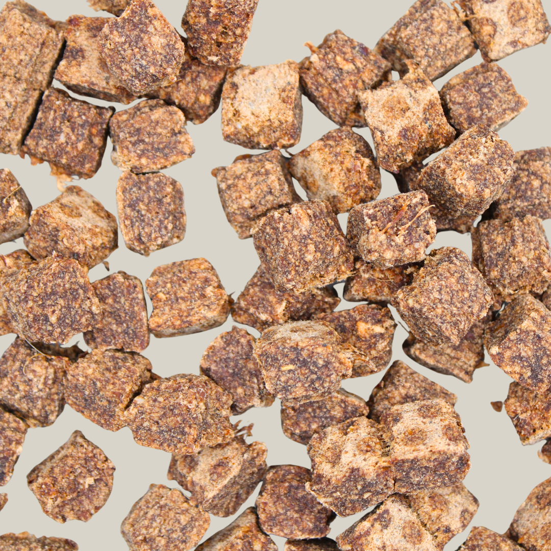 Nahaufnahme von würfelförmigen Hundenkeksen aus Pferdefleisch