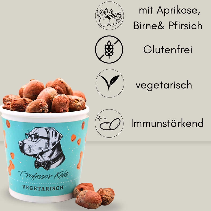 vegetarische Hundekekse in türkisem Pappbecher von Professor Keks