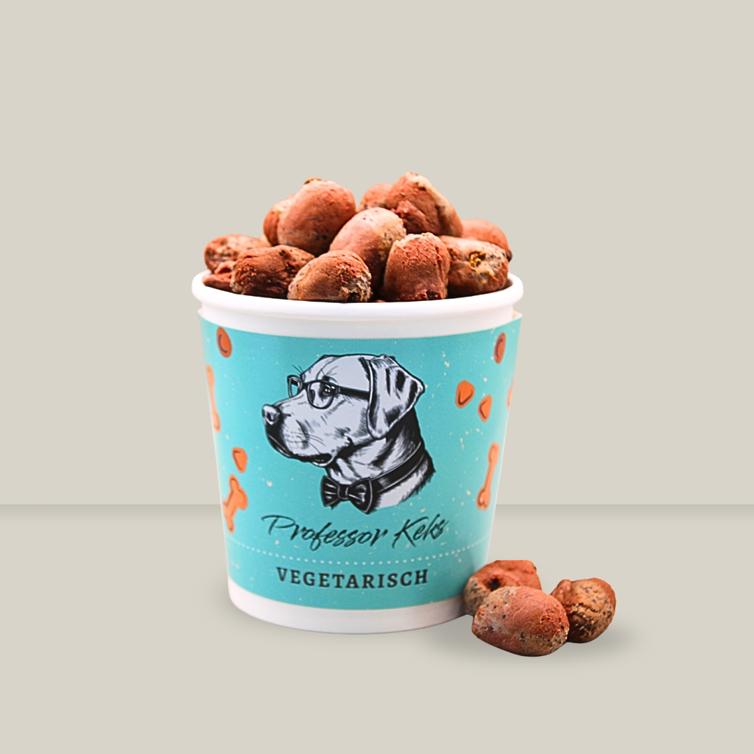 türkiser Becher von Professor Keks gefüllt mit frechen Früchtchen für Hunde